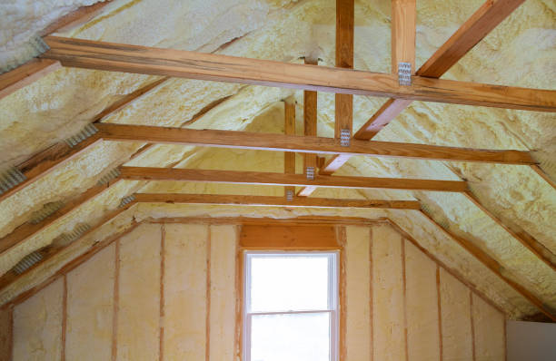 Best Insulation Maintenance and Repair in East Bronson, FL