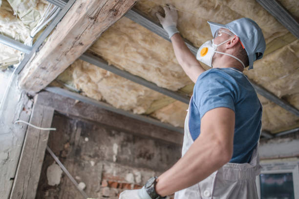 Best Insulation Installation Services in East Bronson, FL