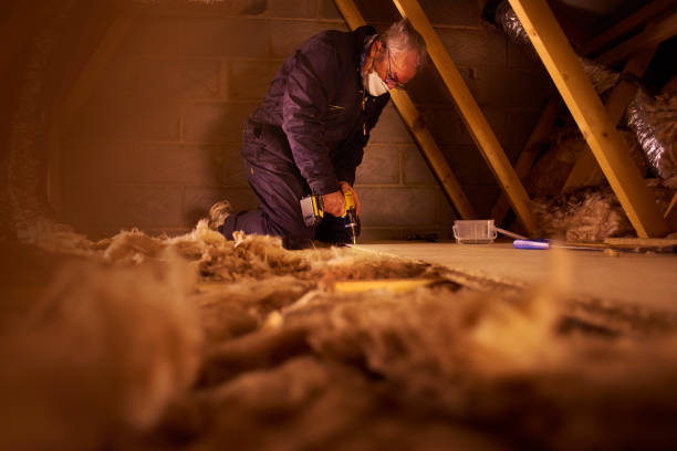 Best Insulation for Specific Applications in East Bronson, FL